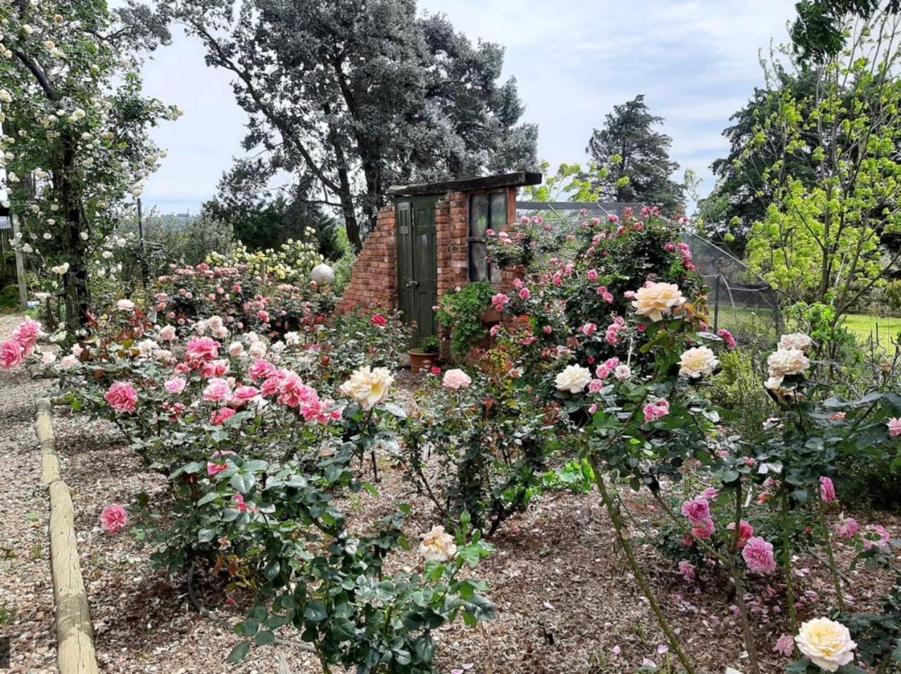 Ama Casa Cottages Champagne Valley Dış mekan fotoğraf